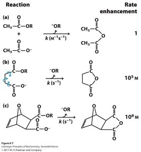 Proximity and rate enhancement in chemical reactions
