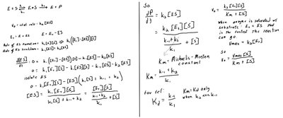 Handwritten derivation of Michaelis-Menten equation