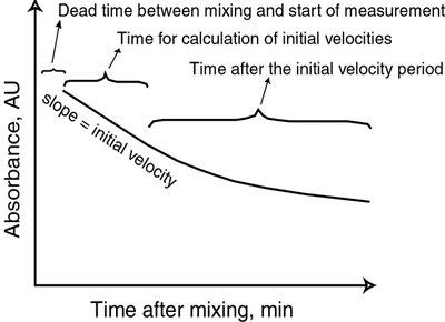 Absorbance vs time for initial velocity measurement