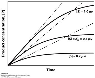 Product concentration vs time at different substrate concentrations