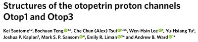 Otop1 structure publication