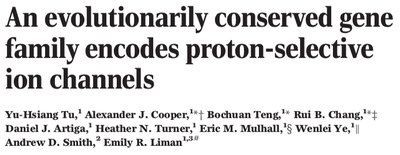 Otop1 gene discovery