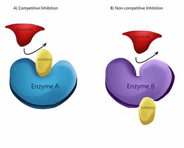 Diagram comparing competitive and non-competitive inhibition
