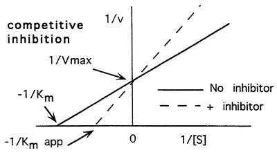 Enzyme inhibition plots: competitive, non-competitive, uncompetitive