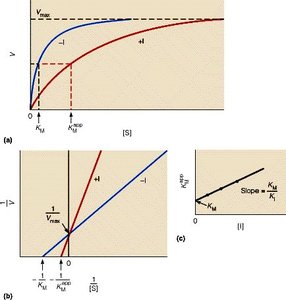 Michaelis-Menten and Lineweaver-Burk plots for competitive inhibition