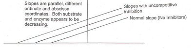 Parallel slopes in uncompetitive inhibition