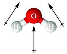 Bond dipole moments in water