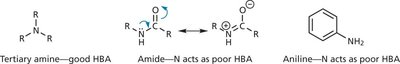 Lone pair overlap in amides and aromatic rings