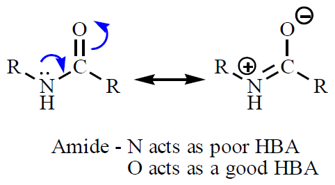 Amide resonance and hydrogen bonding