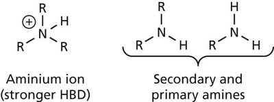 Aminium ion and amines as hydrogen bond donors