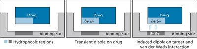 van der Waals interactions in drug binding