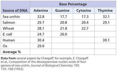 Chargaff's base percentage table