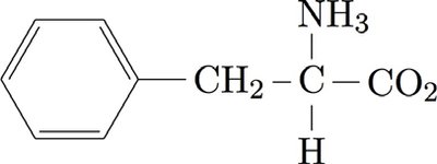 Phenylalanine transaminase reaction