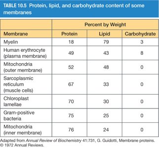 Protein, lipid, and carbohydrate content of membranes