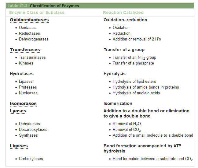 Activation of pepsinogen to pepsin