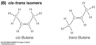 Optical isomers: mirror images