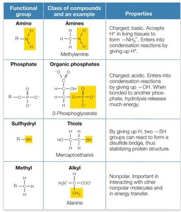 Table of functional groups, examples, and properties