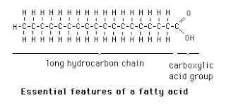 Essential features of a fatty acid