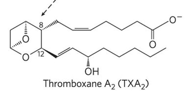 Structure of thromboxane A2