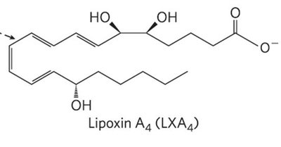 Structure of lipoxin A4