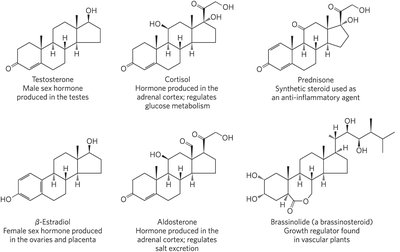 Structures of common steroid hormones