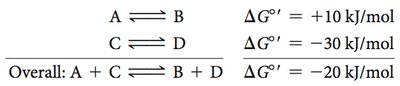 Coupled reaction free energy calculation