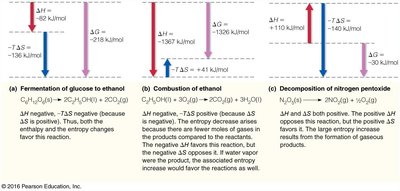 Contributions of enthalpy and entropy to exergonic processes