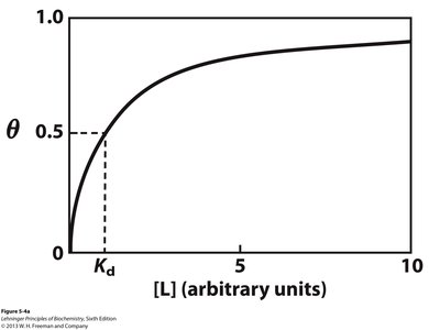Hyperbolic binding curve showing Kd