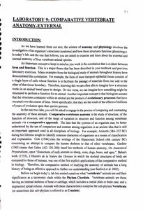 Dogfish shark external anatomy