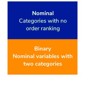 Nominal and binary variable description