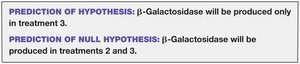 Experimental setup for β-galactosidase production (replicate)
