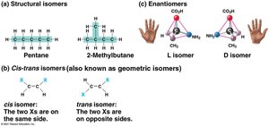 Three types of isomers: structural, cis-trans, and enantiomers