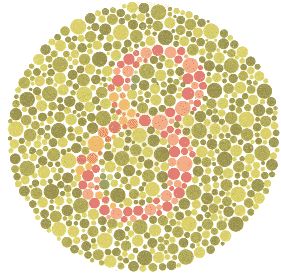 Comparison of normal and colorblind vision
