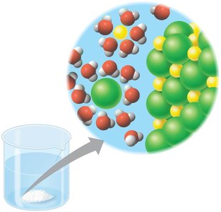 Water dissolving an ionic compound, forming hydration shells