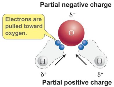 Polarity of water molecule showing partial charges