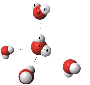 Hydrogen bonding between water molecules