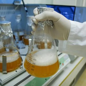 Long-term evolution experiment design