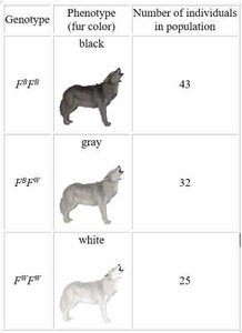 Wolf genotype table