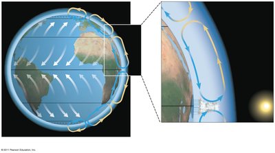 Global air circulation and precipitation patterns