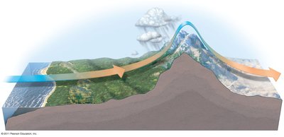 Diagram of air flow over mountains showing rain shadow effect