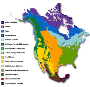 Map of North American terrestrial biomes
