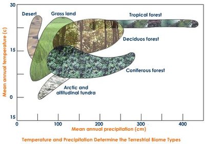 Graph showing relationship between temperature, precipitation, and biome type