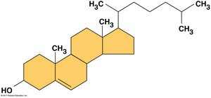 Structure of cholesterol, a steroid