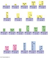 Classification of amino acids by side chain properties