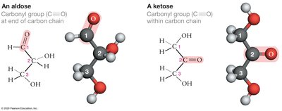 Aldose and ketose structures