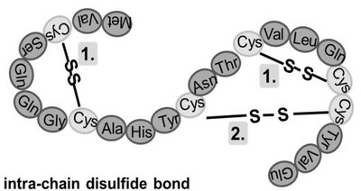 Disulfide bonds in proteins