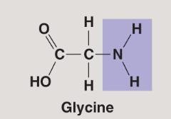 Amino group in glycine