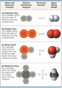 Covalent bonding in four molecules