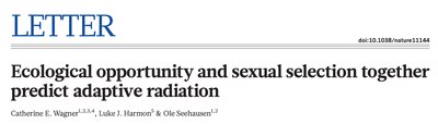 Three-stage radiation of cichlids in Lake Malawi: habitat adaptation, feeding apparatus diversification, and color pattern diversification