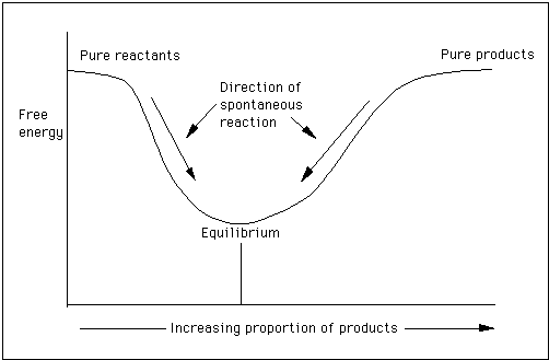 Graph showing free energy change and equilibrium